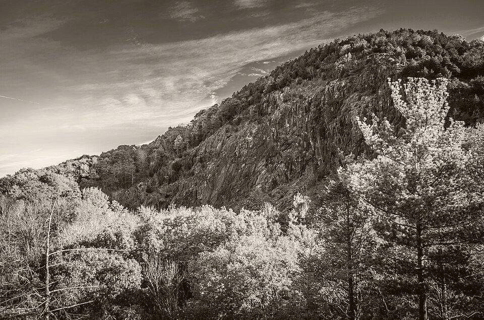 Hamden Residential — Modern Upgrades