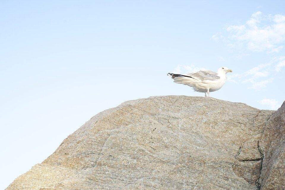 Madison town center historic buildings and streetscape
