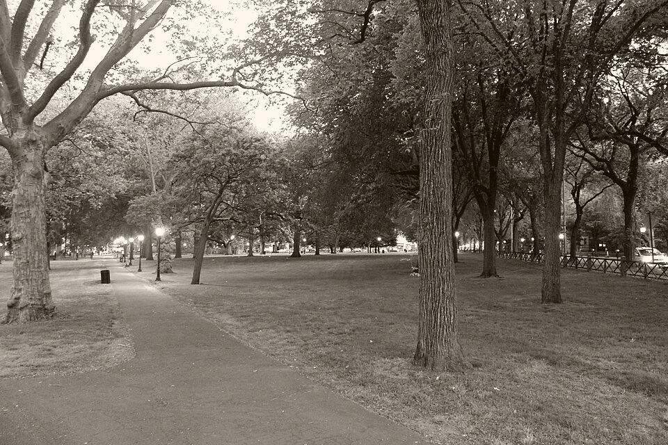 New Haven – Connecticut's Elm City