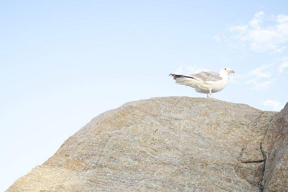 Hammonasset Beach — Madison, CT