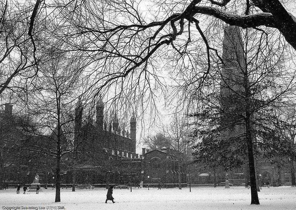 Yale University Area — New Haven