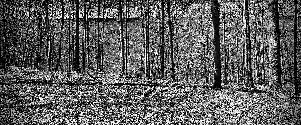 Totoket Mountail RWA Vista Trail View West